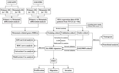 A Novel Six Metastasis-Related Prognostic Gene Signature for Patients With Osteosarcoma